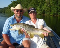 White River trout fishing	