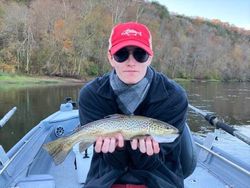 Anglers catch a sea trout in AR