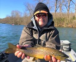 Angler holding a large rainbow trout in Gassville
