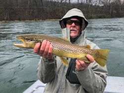 Catch of the day: 23-inch sea trout in AR