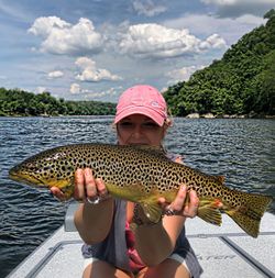 Trout fishing White River Ark	