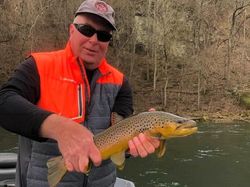 One person fishing in AR