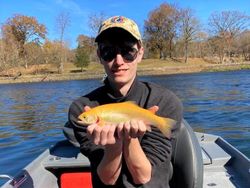 A fishing trip in Gassville with a great catch