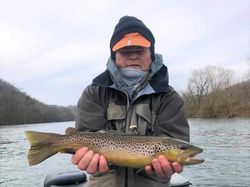 Photograph of a sea trout fishing catch in Gassville