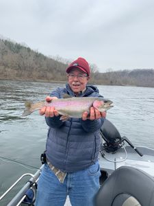 A single rainbow trout caught in AR