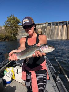 Magnificent rainbow trout caught in AR