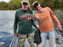 A single rainbow trout caught while fishing in AR