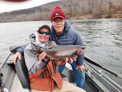 Rainbow trout caught in Gassville