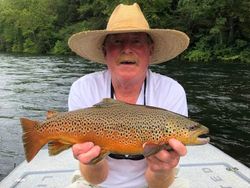 Fisherman with a sea trout catch in Gassville