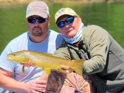 Sea trout caught in AR during fishing
