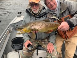 Photograph of a sea trout caught while fishing in AR