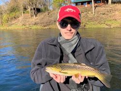 Single sea trout caught while fishing in Gassville