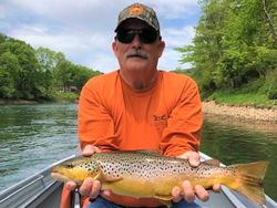 Fishing for a huge sea trout in Gassville