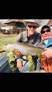 A thrilling catch of a large sea trout in Gassville