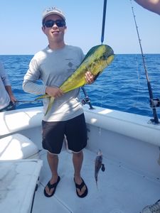 Two blue catfish measuring 11 inches, caught while fishing at Carolina Beach