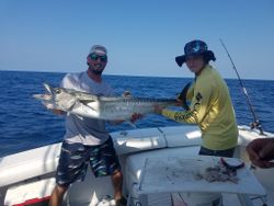 Great Barracuda, a massive 36-inch fish, caught while fishing in Carolina Beach