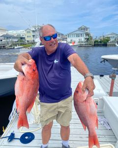 Two grey snapper fishing catch at Carolina Beach