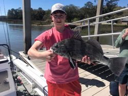 Fisherman with a big black drum fish in GA