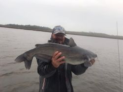 Caught a blue catfish at Midway