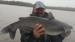Catch of the day: Blue Catfish, 29 inches, caught at Midway