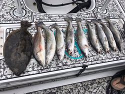 Redfish and bluefish caught in GA