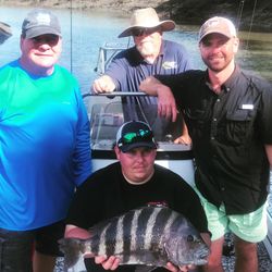 A single sheepshead fish caught in Midway during fishing