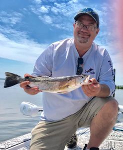 Spotted Weakfish caught while fishing at Midway