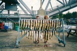 Best Fishing Charters in Ohio
