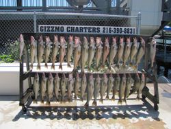 9 fish caught in Conneaut, best fishing spot