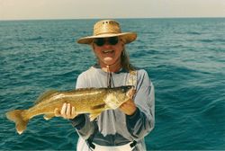 1 angler fishing in OH
