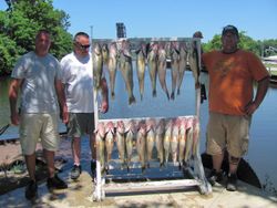 7 big fish caught by 3 anglers in OH
