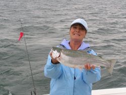 Pink salmon caught in Conneaut