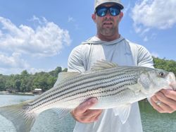 Chasing Striped Bass: Lanier's Best