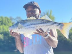 Striped bass caught while fishing in GA