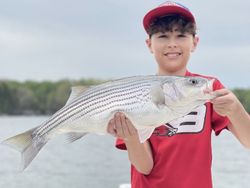 Striped bass caught on fishing trip in GA