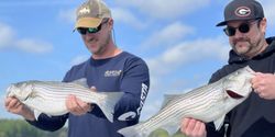 Two striped bass, caught by two people, in Oakwood