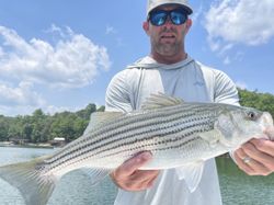 Striped Bass fishing in GA