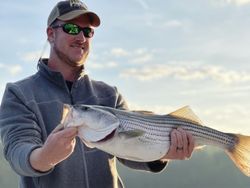 Striped bass caught by an angler in GA