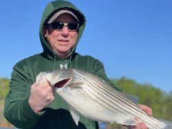 Striped bass caught by angler in Oakwood