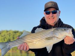 Striped bass caught in Oakwood