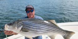 Striped bass caught in Oakwood