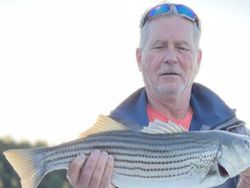 Striped bass caught in Oakwood