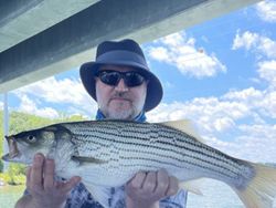 Striped bass caught in Oakwood