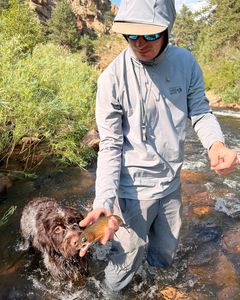 Trout Riches: Wyoming's Waters