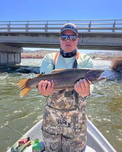 Wyoming's Premier Trout Destinations