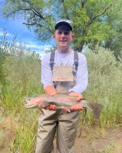 A single rainbow trout being caught while fishing in Colorado