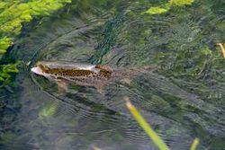 A stunning fishing trip in Colorado