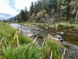 Person fishing in Longmont