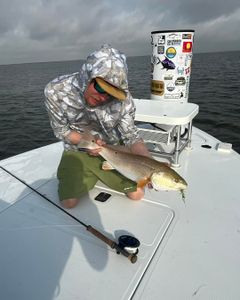 A stunning shot of Longmont, showcasing the best of the great outdoors.