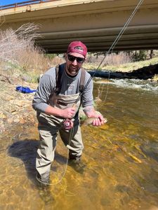 Rainbow trout caught while fishing in Colorado
